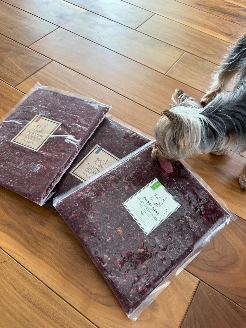 ぴのくん改善後②の写真